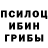 Псилоцибиновые грибы GOLDEN TEACHER CatWhoPlays