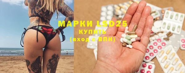 PSILOCYBIN Пересвет
