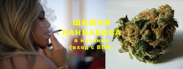 дживик Абаза