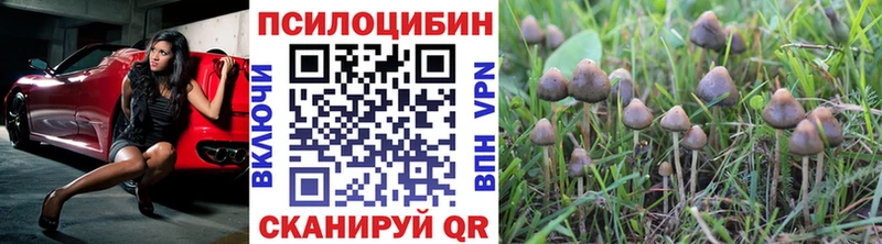 Псилоцибиновые грибы Psilocybine cubensis  Зеленодольск 
